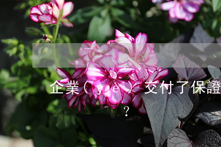企業(yè)交付了保證金就保證擔保嗎？